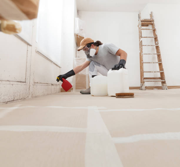 Professional Mold Removal in Buckhall, VA